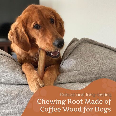 Wildfang® Coffee Wood Dog Chew, Large - Tough Chew Toys for Aggressive Chewers, Dog Teething Toys for Puppies, Training for Chewing Muscles, Coffee Tree Sticks for Large Dogs (55-99 lbs) in Saudi Arabia