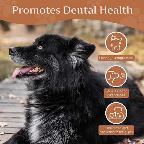 Wildfang® Coffee Wood Dog Chew, Large - Tough Chew Toys for Aggressive Chewers, Dog Teething Toys for Puppies, Training for Chewing Muscles, Coffee Tree Sticks for Large Dogs (55-99 lbs) in Saudi Arabia