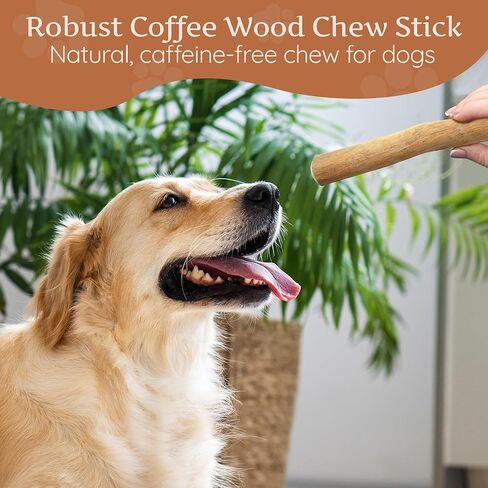 Wildfang® Coffee Wood Dog Chew, Large - Tough Chew Toys for Aggressive Chewers, Dog Teething Toys for Puppies, Training for Chewing Muscles, Coffee Tree Sticks for Large Dogs (55-99 lbs) in Saudi Arabia