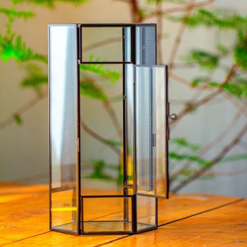 NCYP Small Glass Enclosure Terrarium with Mesh and Door for Jumping Spiders, Insects - Hexagon Shape Succulents Terrarium 4.9'' x 3.9'' x 9.4'', Tabletop Decor, Black (Plants Not Include) in Saudi Arabia