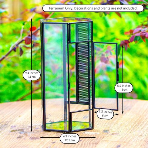 NCYP Small Glass Enclosure Terrarium with Mesh and Door for Jumping Spiders, Insects - Hexagon Shape Succulents Terrarium 4.9'' x 3.9'' x 9.4'', Tabletop Decor, Black (Plants Not Include) in Saudi Arabia