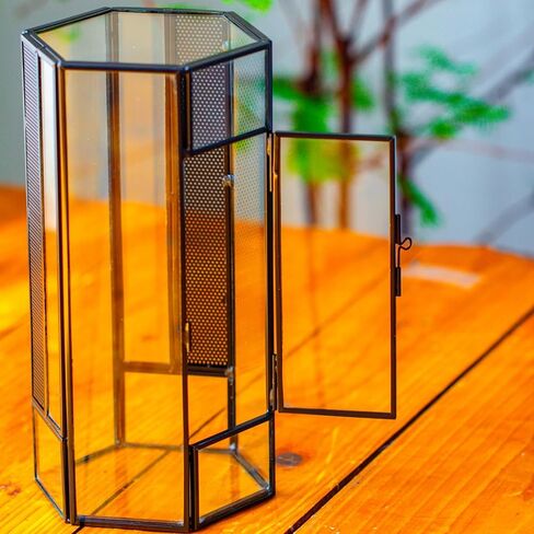 NCYP Small Glass Enclosure Terrarium with Mesh and Door for Jumping Spiders, Insects - Hexagon Shape Succulents Terrarium 4.9'' x 3.9'' x 9.4'', Tabletop Decor, Black (Plants Not Include) in Saudi Arabia
