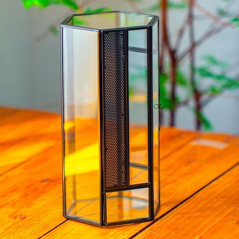 NCYP Small Glass Enclosure Terrarium with Mesh and Door for Jumping Spiders, Insects - Hexagon Shape Succulents Terrarium 4.9'' x 3.9'' x 9.4'', Tabletop Decor, Black (Plants Not Include) in Saudi Arabia