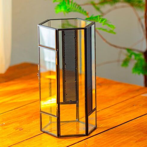 NCYP Small Glass Enclosure Terrarium with Mesh and Door for Jumping Spiders, Insects - Hexagon Shape Succulents Terrarium 4.9'' x 3.9'' x 9.4'', Tabletop Decor, Black (Plants Not Include) in Saudi Arabia