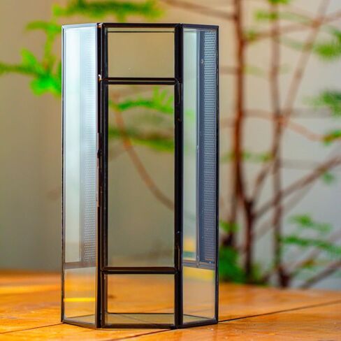 NCYP Small Glass Enclosure Terrarium with Mesh and Door for Jumping Spiders, Insects - Hexagon Shape Succulents Terrarium 4.9'' x 3.9'' x 9.4'', Tabletop Decor, Black (Plants Not Include) in Saudi Arabia