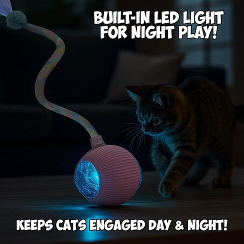 2-Pack Interactive Cat Ball Toys – Pink & Blue Combo – Automatic Rolling Balls with Long Tail & Feather, 3-Modes & USB Rechargeable for Indoor Cats in Saudi Arabia