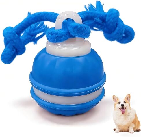 Zealburst Interactive Dog Toy Ball, 2026 Upgraded Motion Activated Rolling Ball with Squeaky Sounds, 360° Smart Automatic Moving Toy for Bored Cats & Dogs, Indoor & Outdoor Pet Exercise Toy (Blue) in Saudi Arabia