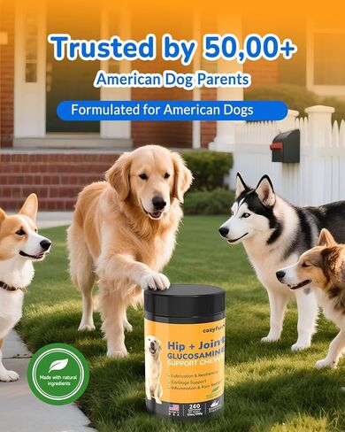 الجلوكوزامين للكلاب 260 قيراط يمضغ - 23 أونصة مضغ مكمل للورك والمفاصل للكلاب، مكمل كوندرويتين المشترك لمفاصل الكلاب، تركيبة مختبر الولايات المتحدة الأمريكية مع البروبيوتيك، دعم طبيعي للكلاب in Kuwait