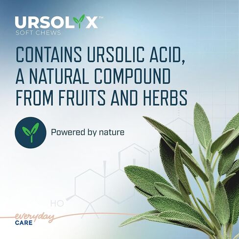 Virbac URSOLYX™ مضغ ناعم للقطط | دعم صحة العضلات للقطط الكبيرة أو النشطة أو المتعافية | 60 قطعة تكفي لمدة شهرين in Kuwait