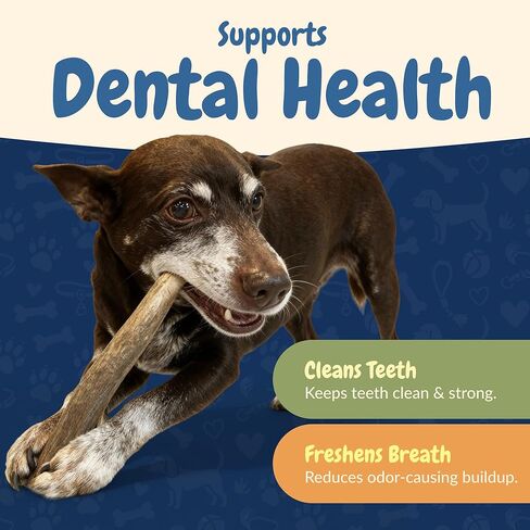 K9warehouse قرون الأيائل المختلطة للكلاب الكبيرة - 7 عبوات، 1.5 رطل - مضغ قرن الوعل الغزلان الطبيعي طويل الأمد في الولايات المتحدة الأمريكية - قرون الكلاب الآمنة والمتينة للمضغ العدواني - قرن الوعل الأيائل للكلاب المتوسطة والكبيرة in Kuwait