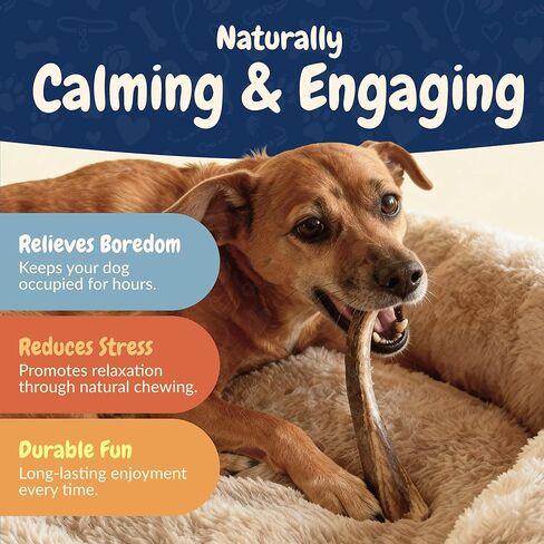 K9warehouse قرون الأيائل المختلطة للكلاب الكبيرة - 7 عبوات، 1.5 رطل - مضغ قرن الوعل الغزلان الطبيعي طويل الأمد في الولايات المتحدة الأمريكية - قرون الكلاب الآمنة والمتينة للمضغ العدواني - قرن الوعل الأيائل للكلاب المتوسطة والكبيرة in Kuwait