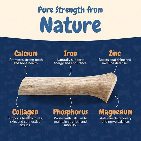 K9warehouse قرون الأيائل المختلطة للكلاب الكبيرة - 7 عبوات، 1.5 رطل - مضغ قرن الوعل الغزلان الطبيعي طويل الأمد في الولايات المتحدة الأمريكية - قرون الكلاب الآمنة والمتينة للمضغ العدواني - قرن الوعل الأيائل للكلاب المتوسطة والكبيرة in Kuwait