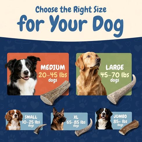 K9warehouse قرون الأيائل المختلطة للكلاب الكبيرة - 7 عبوات، 1.5 رطل - مضغ قرن الوعل الغزلان الطبيعي طويل الأمد في الولايات المتحدة الأمريكية - قرون الكلاب الآمنة والمتينة للمضغ العدواني - قرن الوعل الأيائل للكلاب المتوسطة والكبيرة in Kuwait