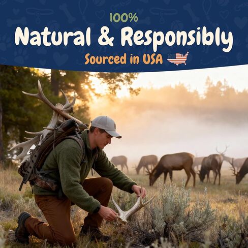 K9warehouse قرون الأيائل المختلطة للكلاب الكبيرة - 7 عبوات، 1.5 رطل - مضغ قرن الوعل الغزلان الطبيعي طويل الأمد في الولايات المتحدة الأمريكية - قرون الكلاب الآمنة والمتينة للمضغ العدواني - قرن الوعل الأيائل للكلاب المتوسطة والكبيرة in Kuwait