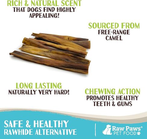 Raw Paws Camel Skin Chews for Dogs, 10-inch (10-Count) - Rawhide Free Dog Chew Long Lasting - Support Dog Anxiety Relief - Bully Stick Alternative in Saudi Arabia