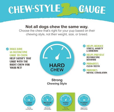 Raw Paws Camel Skin Chews for Dogs, 10-inch (10-Count) - Rawhide Free Dog Chew Long Lasting - Support Dog Anxiety Relief - Bully Stick Alternative in Saudi Arabia