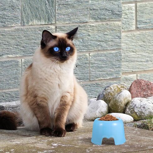 Plastic Dog Food Bowl for Small Dogs and Cats, Round Candy Color Pet Feeding Dish, Blue Water and Food Bowl for Home and Travel in Saudi Arabia