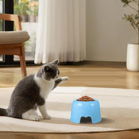 Plastic Dog Food Bowl for Small Dogs and Cats, Round Candy Color Pet Feeding Dish, Blue Water and Food Bowl for Home and Travel in Saudi Arabia