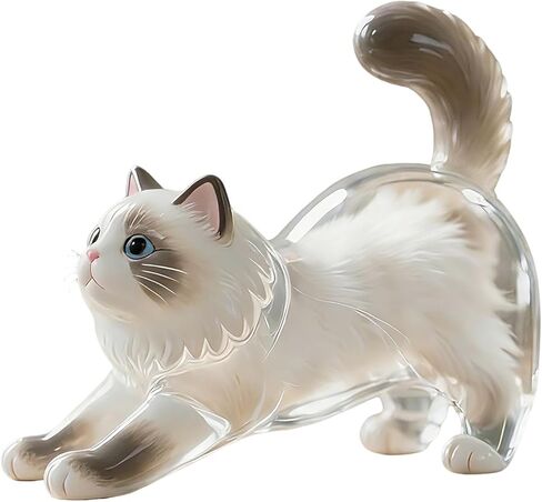Pet Hair Keychain Cat Fur Keepsake Holder Cat Keychain Memorial Pendant Keyring Gift Pet Hair locket for Pet Lovers (Ragdoll) in Saudi Arabia