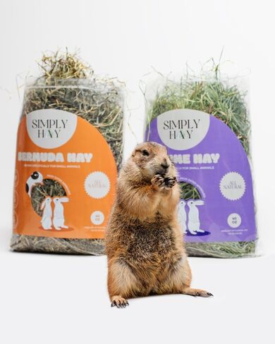 Bermuda Hay – High-Fiber, Low-Calcium Coastal Grass for Rabbits, Guinea Pigs & Small Pets – All-Natural, Hand-Packed, Timothy-Allergy Friendly (24 oz) in Saudi Arabia