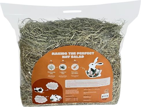 Bermuda Hay – High-Fiber, Low-Calcium Coastal Grass for Rabbits, Guinea Pigs & Small Pets – All-Natural, Hand-Packed, Timothy-Allergy Friendly (24 oz) in Saudi Arabia
