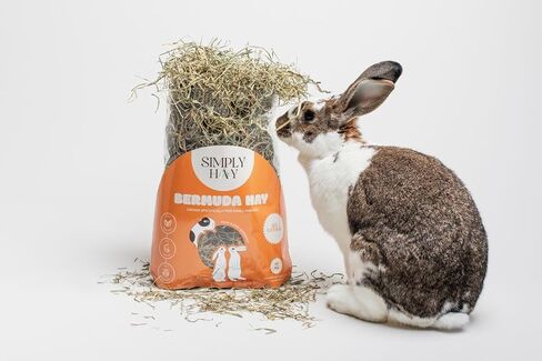 Bermuda Hay – High-Fiber, Low-Calcium Coastal Grass for Rabbits, Guinea Pigs & Small Pets – All-Natural, Hand-Packed, Timothy-Allergy Friendly (24 oz) in Saudi Arabia