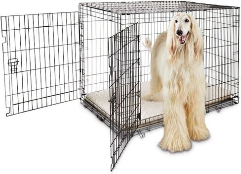 قفص كلاب EveryYay من Petco ببابين مقاس XX-Large 49.1 بوصة طول × 30.5 بوصة عرض × 32.6 بوصة ارتفاع، أسود: بدون مقابض in Kuwait