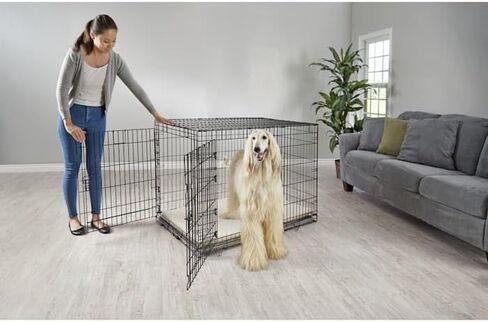 قفص كلاب EveryYay من Petco ببابين مقاس XX-Large 49.1 بوصة طول × 30.5 بوصة عرض × 32.6 بوصة ارتفاع، أسود: بدون مقابض in Kuwait