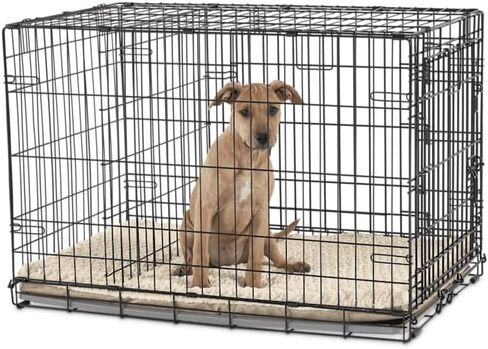 قفص كلاب EveryYay من Petco ببابين مقاس XX-Large 49.1 بوصة طول × 30.5 بوصة عرض × 32.6 بوصة ارتفاع، أسود: بدون مقابض in Kuwait