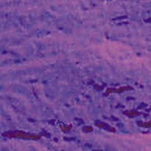4 inch X 4 inch Dichroic Purple On Thin Black Glass - 96 Coe in Saudi Arabia