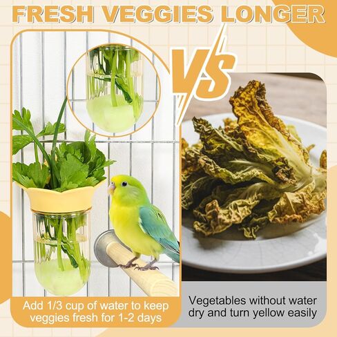 4 Pcs Millet Holder for Bird Cage Feeder Parrot Vegetable Veggies Holder No Mess Bird Feeder Cups for Fruit with Water Storage to Keep Fresh Hanging Cage for Parakeet Macaw Lovebirds in Saudi Arabia