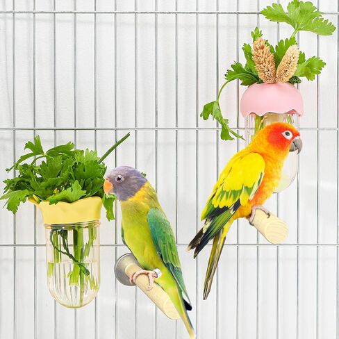 4 Pcs Millet Holder for Bird Cage Feeder Parrot Vegetable Veggies Holder No Mess Bird Feeder Cups for Fruit with Water Storage to Keep Fresh Hanging Cage for Parakeet Macaw Lovebirds in Saudi Arabia