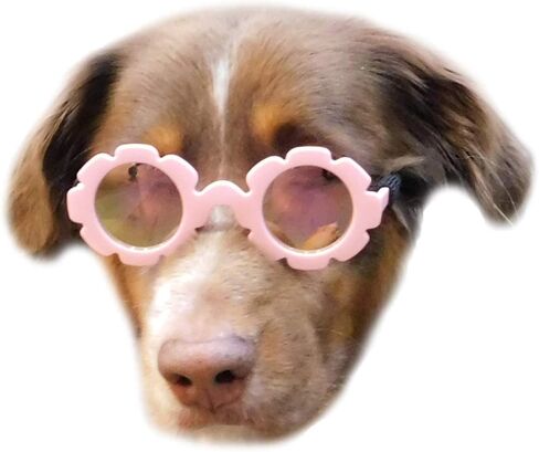 نظارات شمسية G001 للكلاب للسلالات المتوسطة (20-40 رطلاً) (مرآة وردية وردية على شكل زهرة) in Kuwait