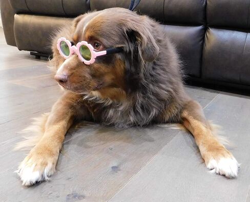 نظارات شمسية G001 للكلاب للسلالات المتوسطة (20-40 رطلاً) (مرآة وردية وردية على شكل زهرة) in Kuwait