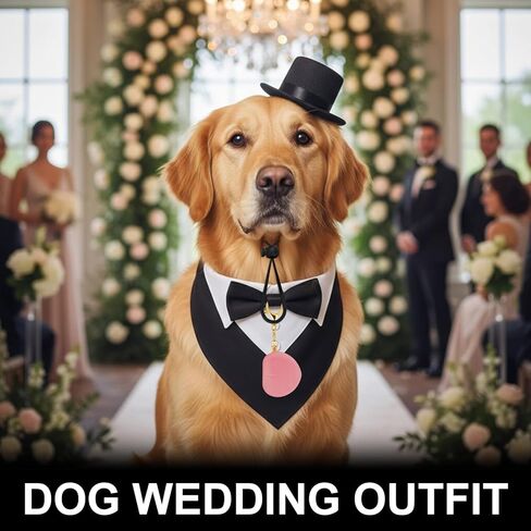 FunMular 3Pcs Formal Dog Tuxedo Accessories Set Adjustable Wedding Collar Bandana with Bow Tie Pet Top Hat for Large X-Large Dogs New Years Wedding Birthday Party in Saudi Arabia