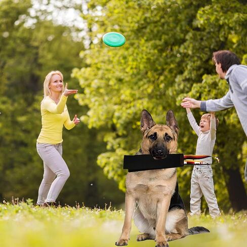 Luqeeg Dog Bite Rag، خرقة عض جلدية، ألعاب تفاعلية للحيوانات الأليفة مع مقبض شد جلدي تفاعلي للعبة شد الحرب، مقبض عض لتدريب الكلاب للكلاب الصغيرة والمتوسطة والكبيرة in Kuwait