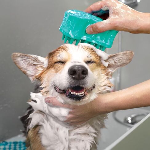 KONG ZoomGroom Bubbles Dog Brush - Soap Dispensing, Massaging and Gooming Brush for Dogs, Removes Shedding Hair - Works on All Coat Types and Lengths in Saudi Arabia