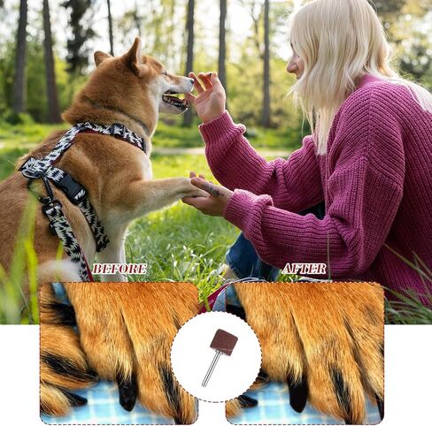 مجموعة بديلة لمطحنة أظافر الحيوانات الأليفة مكونة من 62 قطعة مع أشرطة سنفرة، وطبول جلخ الأظافر للكلاب، ومجموعة طبول صنفرة أكثر سلاسة لمستلزمات العناية بمخالب الكلاب (80#/120#) in Kuwait