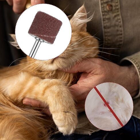 مجموعة بديلة لمطحنة أظافر الحيوانات الأليفة مكونة من 62 قطعة مع أشرطة سنفرة، وطبول جلخ الأظافر للكلاب، ومجموعة طبول صنفرة أكثر سلاسة لمستلزمات العناية بمخالب الكلاب (80#/120#) in Kuwait