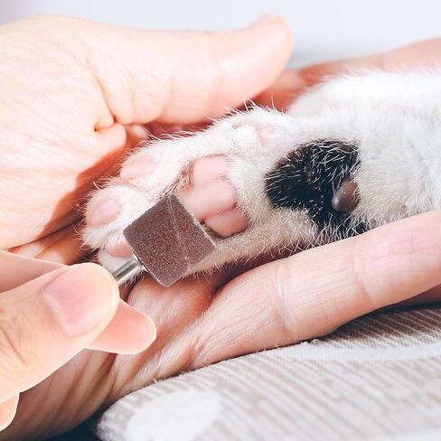 مجموعة بديلة لمطحنة أظافر الحيوانات الأليفة مكونة من 62 قطعة مع أشرطة سنفرة، وطبول جلخ الأظافر للكلاب، ومجموعة طبول صنفرة أكثر سلاسة لمستلزمات العناية بمخالب الكلاب (80#/120#) in Kuwait