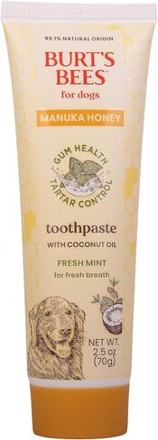 Burt's Bees for Pets Toothpaste for Dogs with Manuka Honey and Coconut Oil for Gum Health & Tartar Control, 99.1% Natural Origin Formula, Fresh Mint Flavor, 2.5 oz in Saudi Arabia