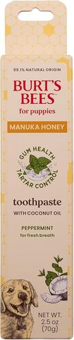 Burt's Bees for Pets Toothpaste for Dogs with Manuka Honey and Coconut Oil for Gum Health & Tartar Control, 99.1% Natural Origin Formula, Fresh Mint Flavor, 2.5 oz in Saudi Arabia