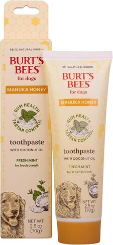 Burt's Bees for Pets Toothpaste for Dogs with Manuka Honey and Coconut Oil for Gum Health & Tartar Control, 99.1% Natural Origin Formula, Fresh Mint Flavor, 2.5 oz in Saudi Arabia