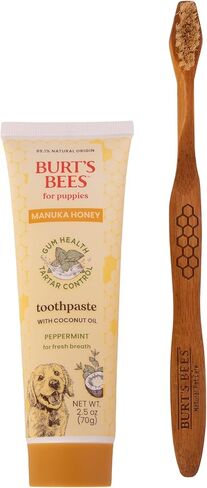 Burt's Bees for Pets Toothpaste for Dogs with Manuka Honey and Coconut Oil for Gum Health & Tartar Control, 99.1% Natural Origin Formula, Fresh Mint Flavor, 2.5 oz in Saudi Arabia