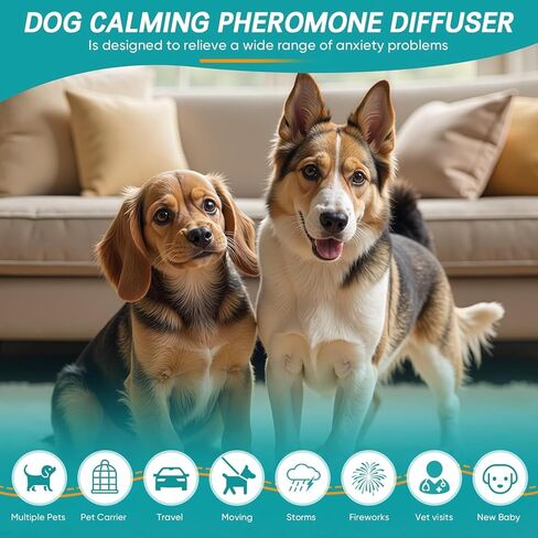 Dog Calming Diffuser - Pheromone Diffuser, Vet-Recommended Anxiety Aid for Indoor Behavior Support, Reduces Barking, Chewing & Separation Stress, 60-Day Refill Kit, Natural Formula in Kuwait