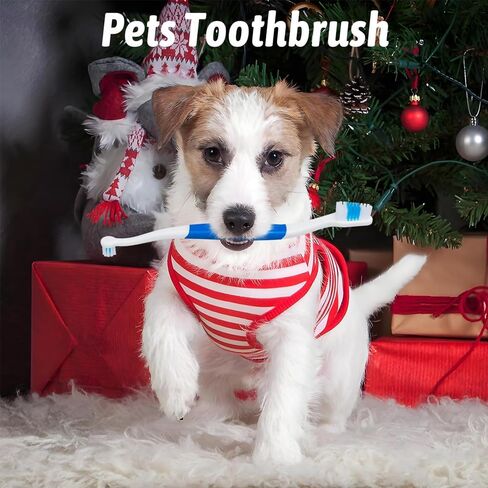 3 Pack Pet brush for Dogs Cats Double Headed with Soft Bristles Easy Teeth Cleaning Non Slip Dog Toothbrushes in Bulk in Saudi Arabia