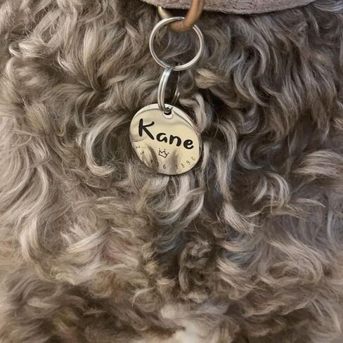 Cats Dogs ID Tags Personalized Cute Symbols Pets Collar Name Accessories Simple Custom Engraved Pet Name Tags Anti-Lost Stainless Steel Charm (Gold) in Saudi Arabia