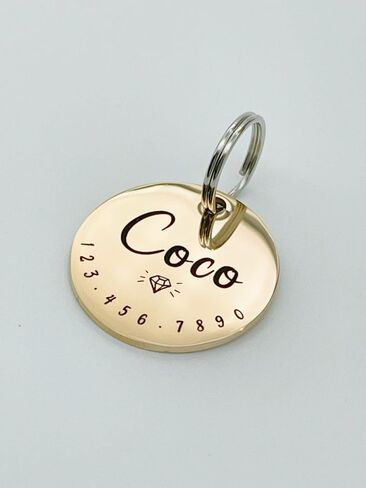 Cats Dogs ID Tags Personalized Cute Symbols Pets Collar Name Accessories Simple Custom Engraved Pet Name Tags Anti-Lost Stainless Steel Charm (Gold) in Saudi Arabia