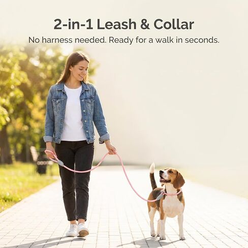4.9 FT Dog Training Leash, Nylon Durable Slip Lead for Small, Medium Dogs, No Pull Rope Leash with Reflective Stitching and Adjustable Stopper, Comfortable Pet Training Rope Loop Leashes (Pink) in Saudi Arabia
