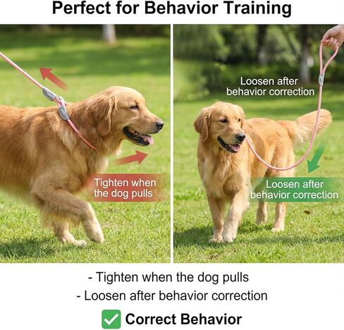 4.9 FT Dog Training Leash, Nylon Durable Slip Lead for Small, Medium Dogs, No Pull Rope Leash with Reflective Stitching and Adjustable Stopper, Comfortable Pet Training Rope Loop Leashes (Pink) in Saudi Arabia